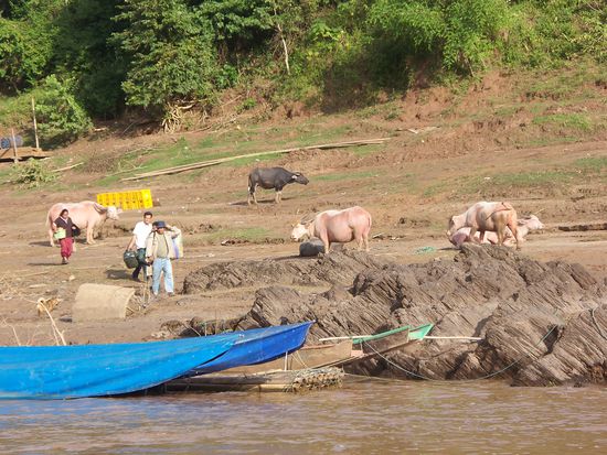 Unterwegs stoppten wir oefters, um einige Laoten ein Stueck mitzunehmen.