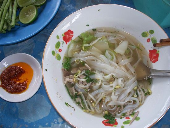 Das traditionelle laotische Gericht: die "Foe"-Nudelsuppe.
Frisch zubereitet schmeckte sie super gut, ist jedoch nichts fuer Personen, die den dominanten Geschmack des Korianders nicht moegen.