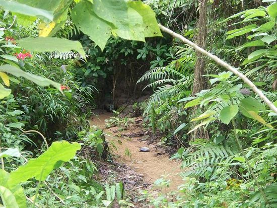 idyllische Landschaft auf dem Weg zum Wasserfall