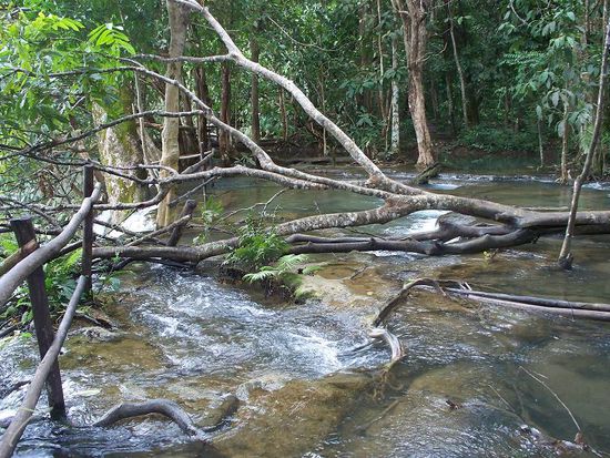 Das war die Aussicht, leider konnte man keinen Blick nach unten bekommen.