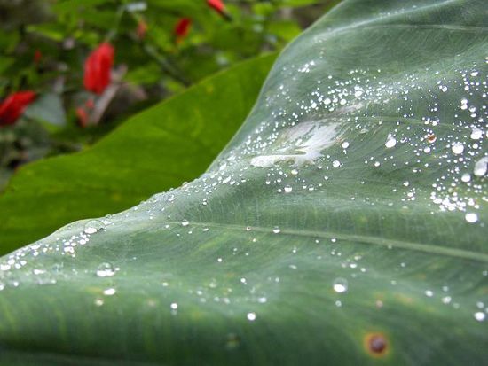 Fotoexperimente von Chris... sehr gelungen finde ich