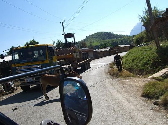 Diese Kuehe wollten einfach nicht von der Strasse... mit Seilen mussten sie zur Seite gezogen werden...
Das waren uebrigens nicht die einzigen Kuehe, die mitten auf der Strasse standen und wir daher einige Ausweichmanoever vornehmen mussten.