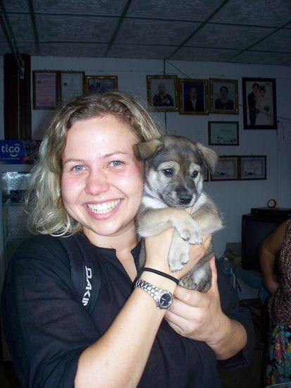 Die Besitzerin unseres Guesthouses besass einen jungen Welpen... wie suess!