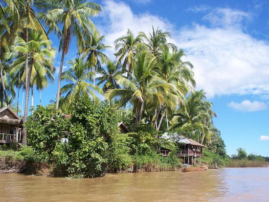 Mit dem Boot fuhren wir als erstes auf die abgelegenen Inseln Don Khon und Don Det.