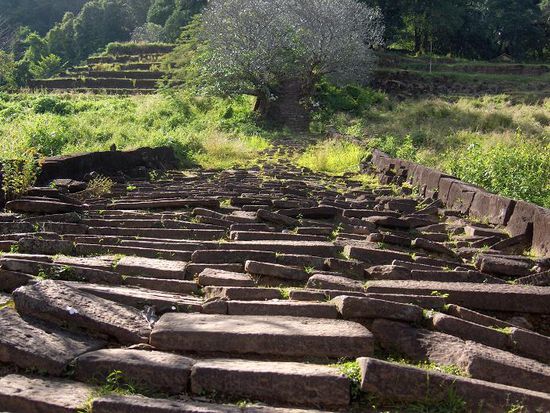 Die Treppe zum Vat Phou...