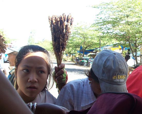 Zwischendurch bekamen wir "leckere" gegrillte Heuschrecken angeboten... Chris und ich waren die einzigen im Bus, die auf den Verzehr verzichteten...