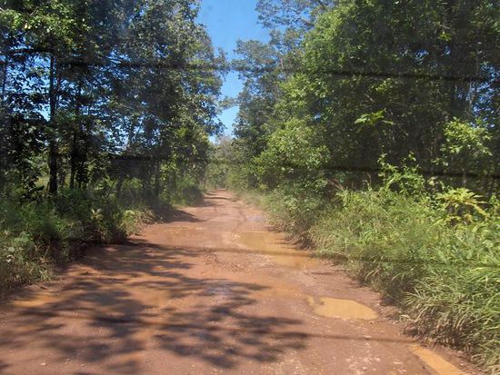Eine 7 km lange Schlaglochpiste fuehrte vom laotischen zum kambodschanischen Grenzuebergang. Wir befanden uns also gerade im Niemandsland…