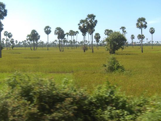 Unvorstellbar, dass in dieser idyllischen Landschaft noch unzaehlige zerstoererische bzw. menschenvernichtende Minen liegen.