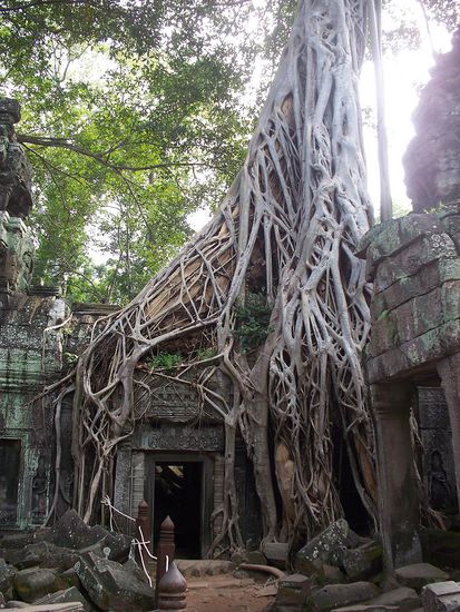 Erkennt jemand diese Filmkulisse??? Kleiner Tipp: Angelina Jolie wurde durch diesen Film weltberuehmt...