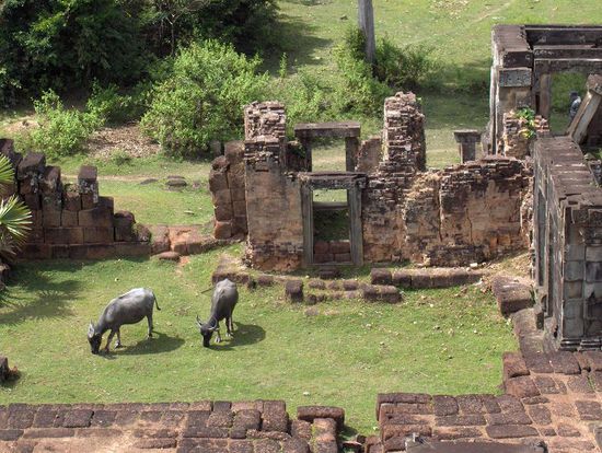 Die billigsten Rasenmaeher der Welt...