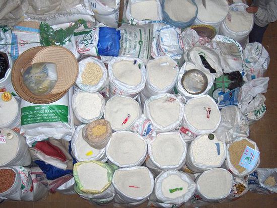 An Reis mangelt es hier nicht...