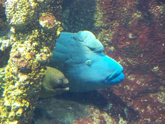 Die beiden haben schoen mitteinander gekuschelt...