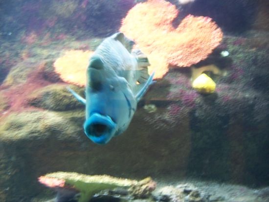 was fuer ein Kussmund