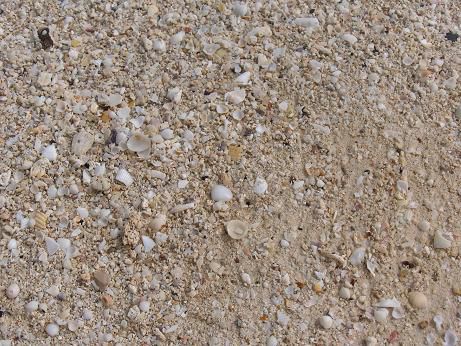 Endlich wieder Strand!