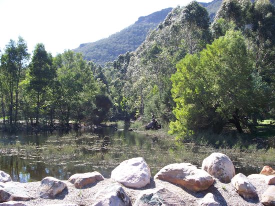 hier nahmen wir unser letztes Mittagessen ein. Auch sehr idyllisches. Michi sagte zu mir, was absolut treffend formuliert war: "What a peaceful place!" Schade dass man auf dem Bild die Geraeuschkulisse nicht darstellen kann, die war naemlich atemberaubend!