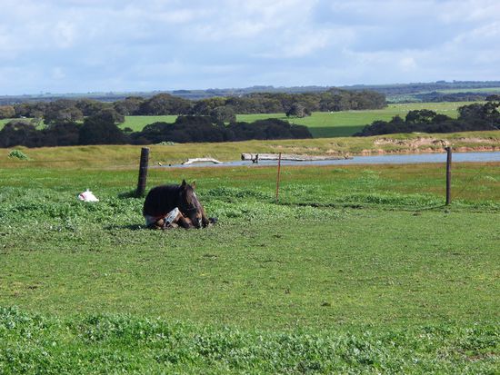 Alles was man auf dem Bild sieht gehoert noch zu seinem Grundstueck, einfach unendlich weit und gross