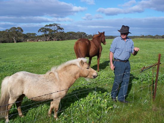 zu unseren Taetigkeiten gehoerte auch das Reparieren von Zaeunen