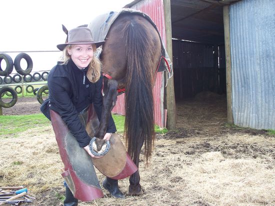 ich beim Hufe beschlagen...