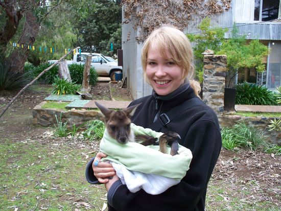 leider wurde die Mutter des Kaenguruhbabys ueberfahren, der Kleine sass in ihrem Beutel und hat beim Unfall das Bein gebrochen...jetzt wird er liebevoll von Trisha (Freundin von Rodgers Nachbarin Lisa) aufgezogen...