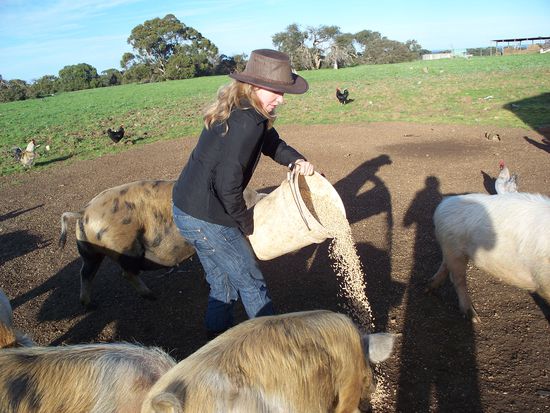 ich durfte immer die Schweine fuettern... 