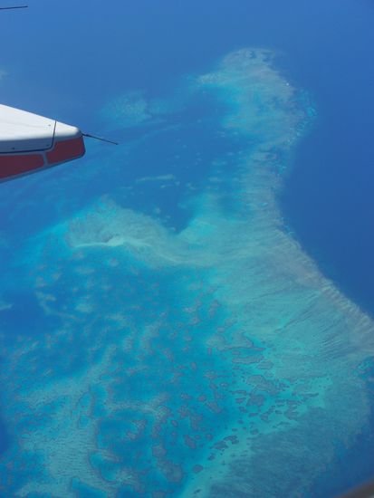 Im Flieger nach Cairns konnte ich schon mal von oben das Great Barrier Reef bewundern, und freute mich schon riesig auf meine bevorstehende 5-taegige Tauchsafari!