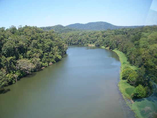 Schoener Ausblick von der Seilbahn aus ueber den Regenwald und den Barron River.