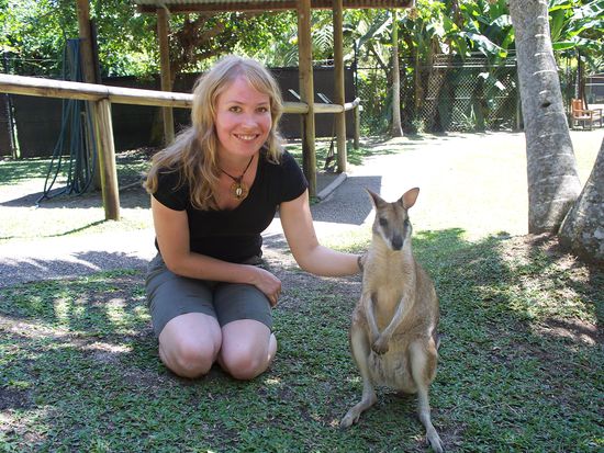 neugieriger Wallaby, so suess