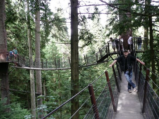 Trail um die Brücke herum