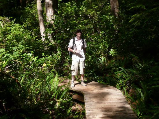 Beim Wandern durch den Regenwald auf der Insel