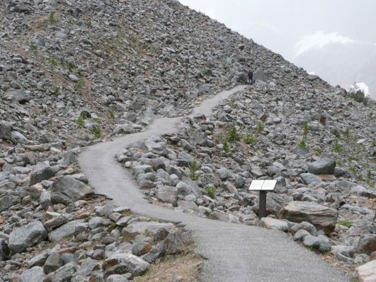 Der Weg zum Ziel! Seht Ihr den Martin? Absofort nenne ich solche Bilder "Suchbild"