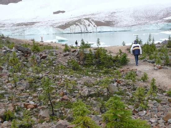 Auf dem Weg zum See. Dahinter der Glacier