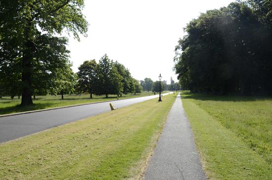 Der Phoenix Park von der White Gate - Es lohnt sich auf jeden Fall mal einen Ausflug hierhin zu machen!