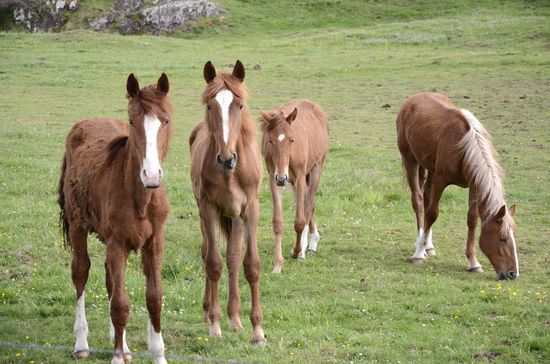 Ein paar Schaulustige