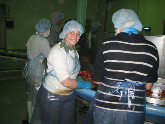 Ich bei der Arbeit am Band