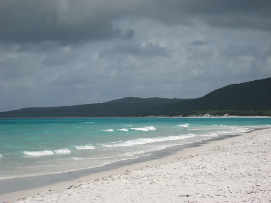 Strand von "Whitsunday Island"