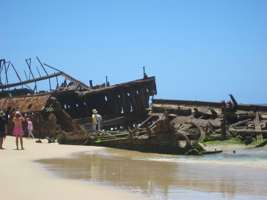 Schiffsfrack am "Elli Creek"