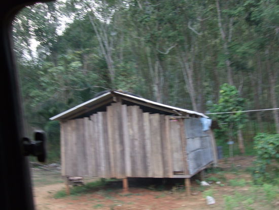 hilfe wo bringt der taxifahrer uns hin?