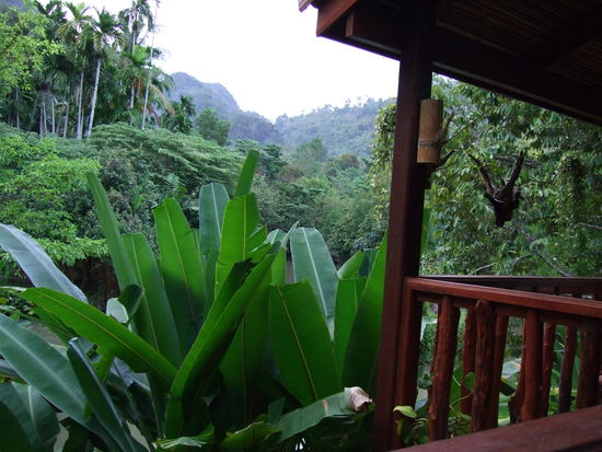 blick von der restaurant-terrasse
hier im phanom bencha gab's auf unserer reise das beste essen
an dieser stelle Sawadi ka / kap
an Tony und Son und alle die,
die das phanom bencha zu dem machen, was es ist: ein paradies!!!