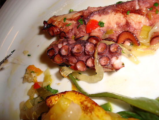 Octopus