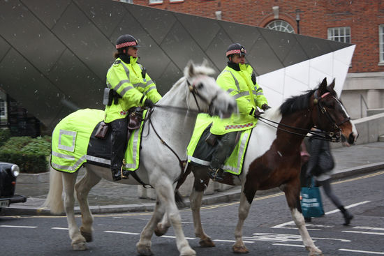 Berittene Polizei in London!