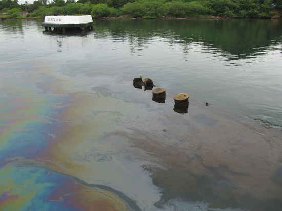 Nach 70 Jahren tritt immer noch Öl an die Oberfläche