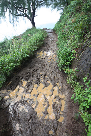 Flip-Flop Spuren der Amis 