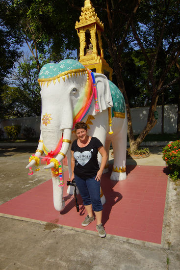 Der wäre doch etwas für meine Sammlung 