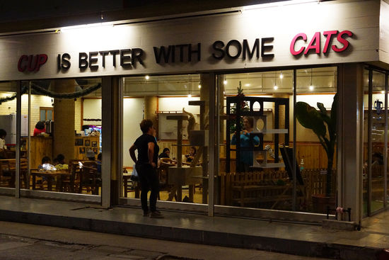 Schade, dass ihr meinen sehnsüchtigen Blick nicht sehen könnt !