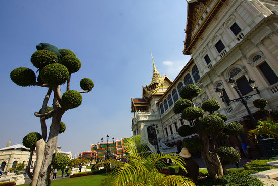 Kaum zu entdecken, aber man beachte die Position des Gärtners, der die Bäume wieder in Form bringt!
