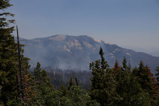 Auch im Sequoia kämpfen die Feuerwehrleute zur Zeit mit einem Waldbrand