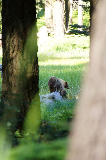 Aus sicherer Entfernung mit dem Tele aufgenommen