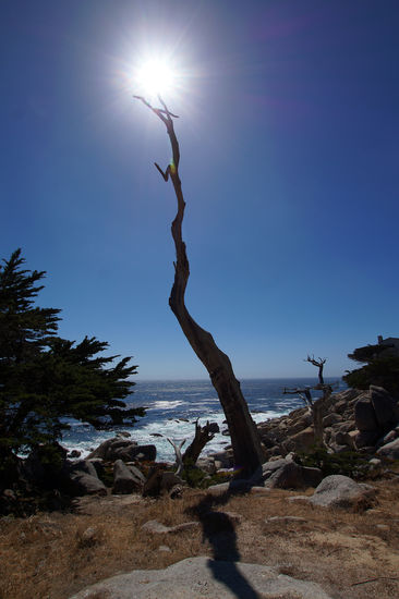 17 Mile Drive