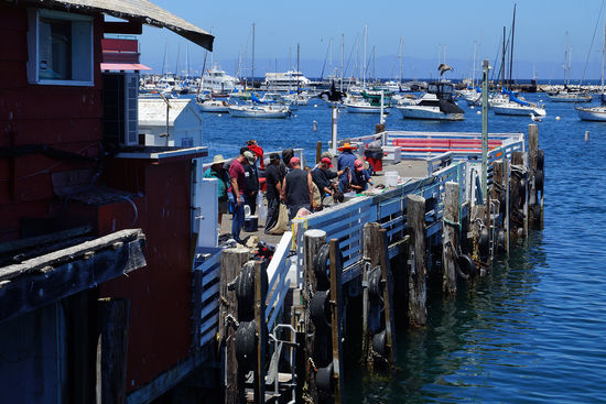 Hier wird frisch gefangener Fisch am Hafen von Monterey verkauft