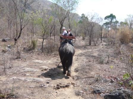 Elefanten Trekking